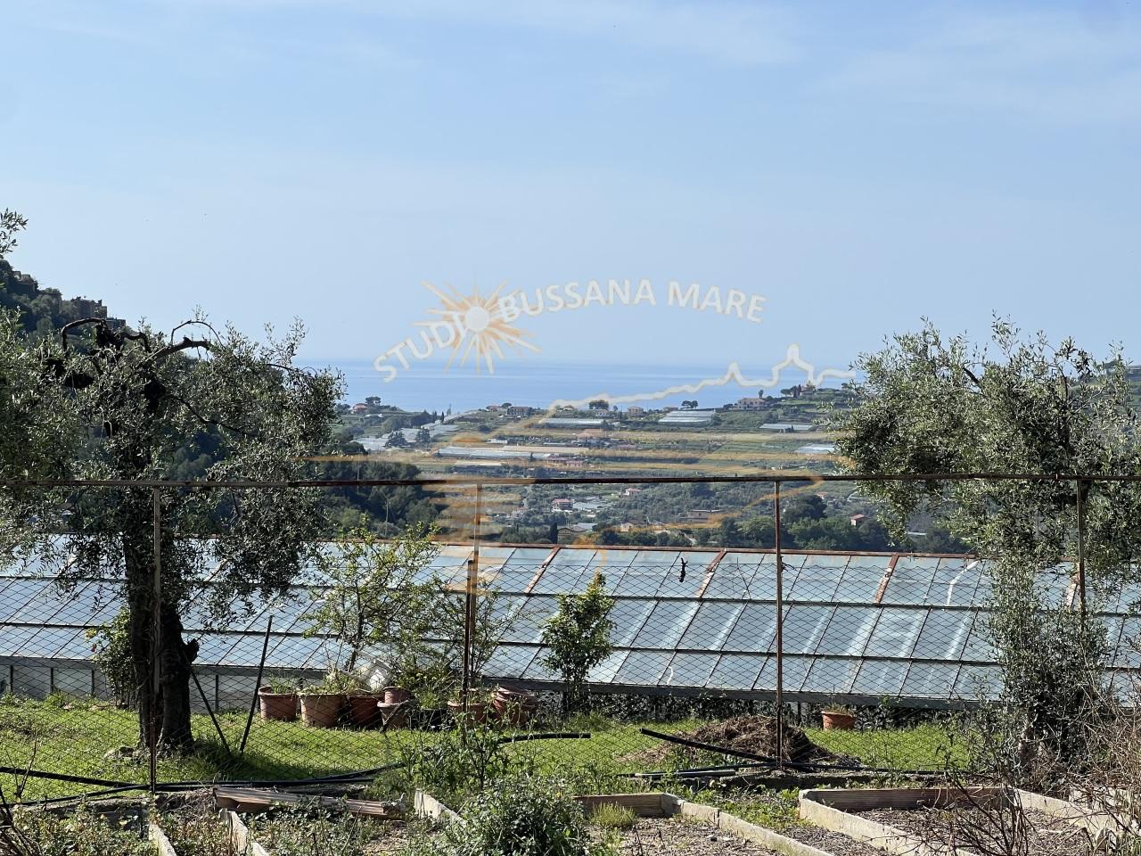 Vendita Terreni, Sanremo foto