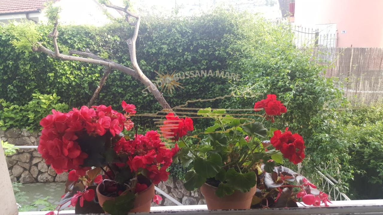 Vendita Monovano, Sanremo foto