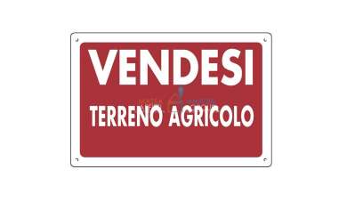 Vendita Monovano, Massa Vendita Monovano, Massa