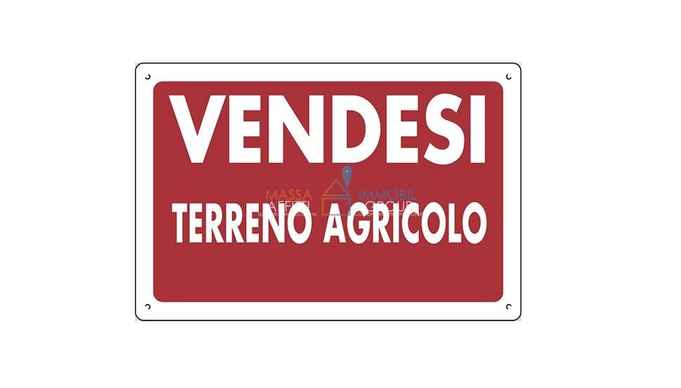 Vendita Monovano, Massa foto