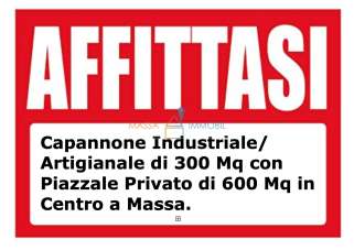 Vendita Industriale, Massa Vendita Industriale, Massa