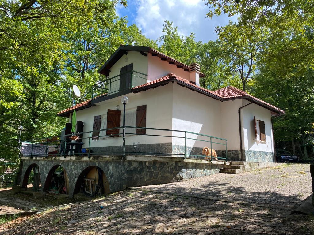 Vendita Esavani, Pareto foto