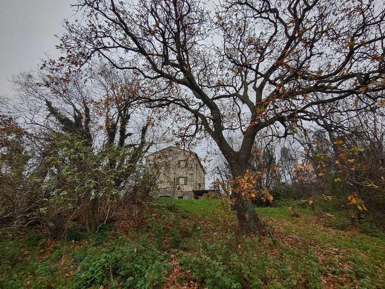 Vendita Multivani, Poggio San Marcello foto