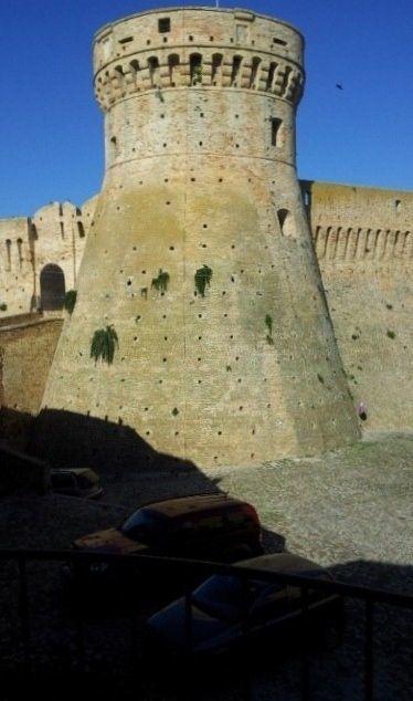 Vendita Trivani, Acquaviva Picena foto