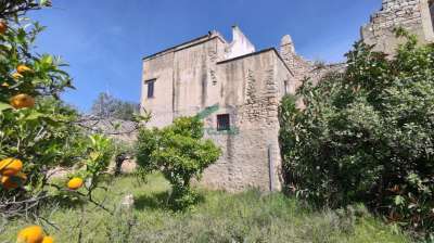 Vendita Esavani, Giovinazzo