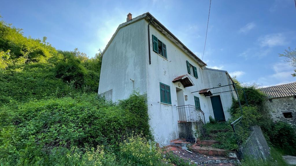 Vendita Trivani, Savona foto