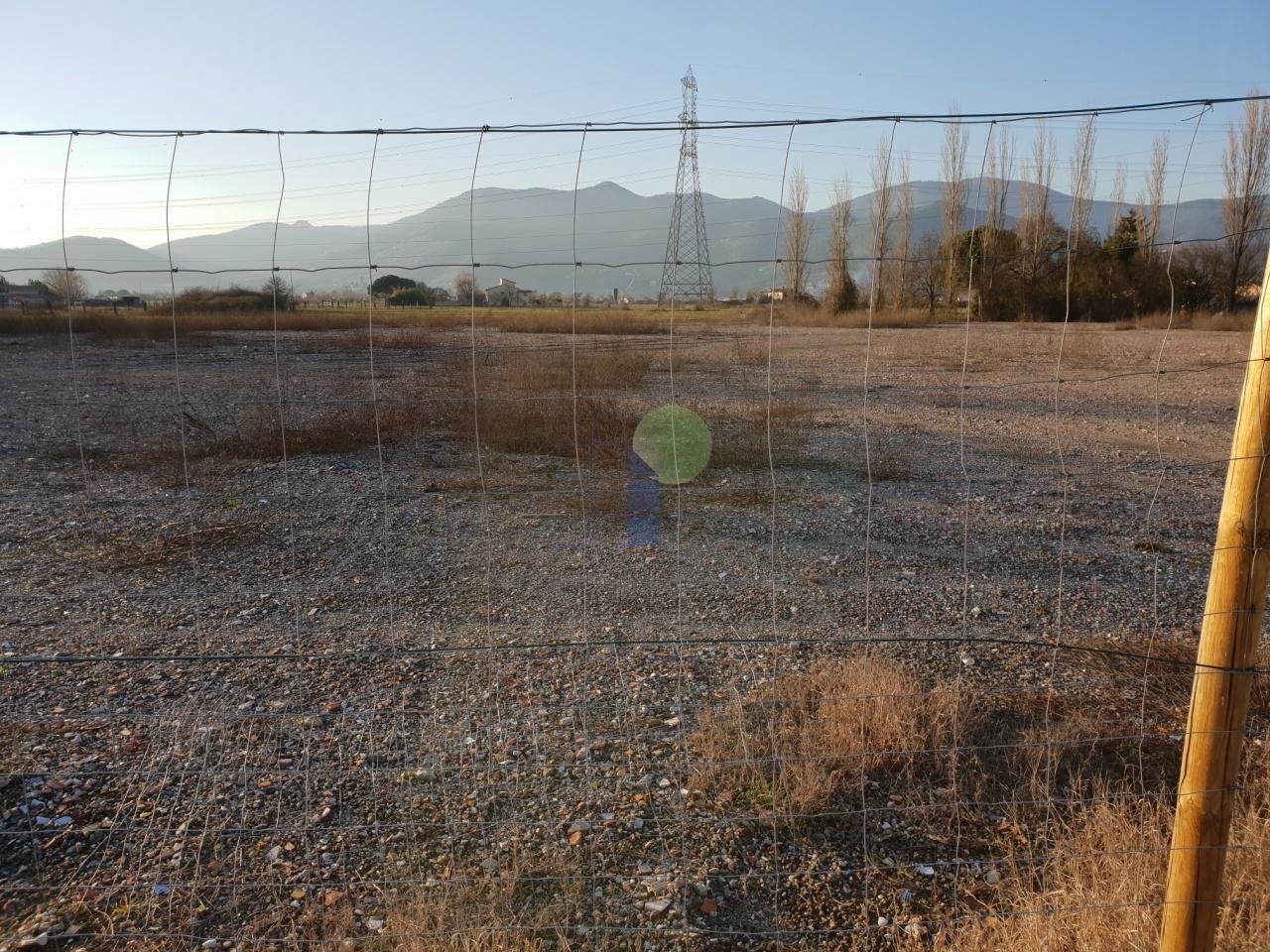 Vendita Terreni, Calcinaia foto