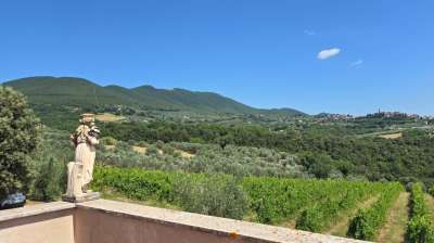 Vendita Multivani, Montecchio Vendita Multivani, Montecchio