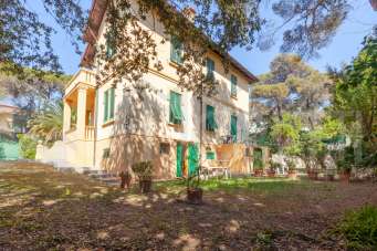 Vendita Multivani, Livorno Vendita Multivani, Livorno