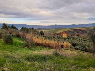 Vendita Pentavani, Todi Vendita Pentavani, Todi