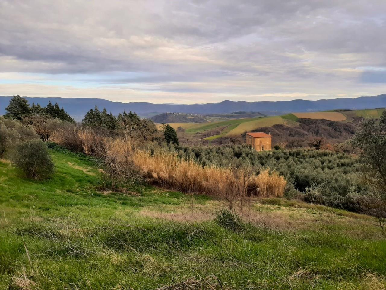 Vendita Pentavani, Todi foto