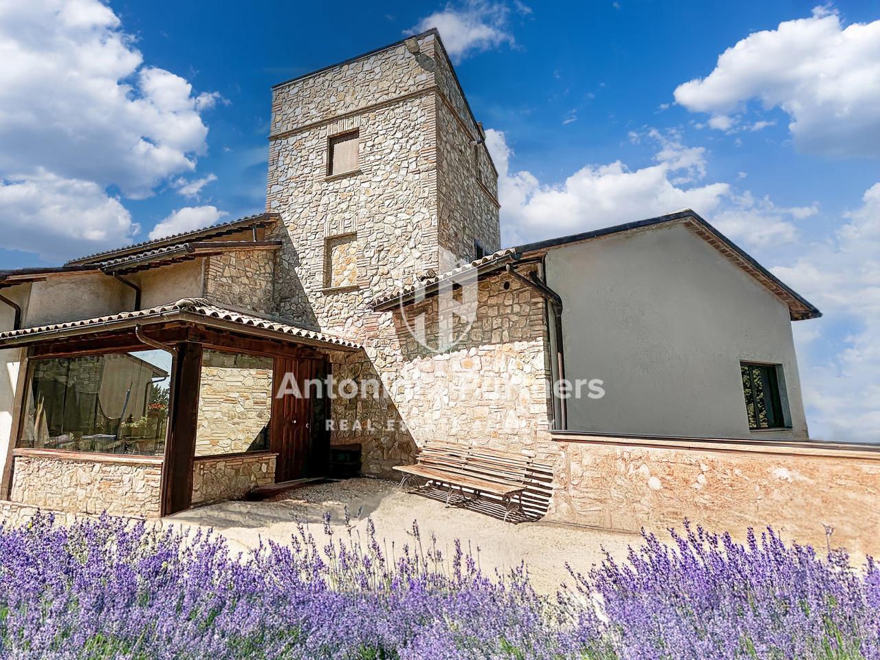 Vendita Multivani, Todi foto