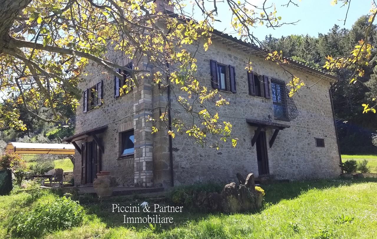 Vendita Multivani, Perugia foto