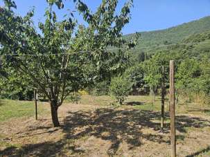Vendita Pentavani, Sanremo Vendita Pentavani, Sanremo
