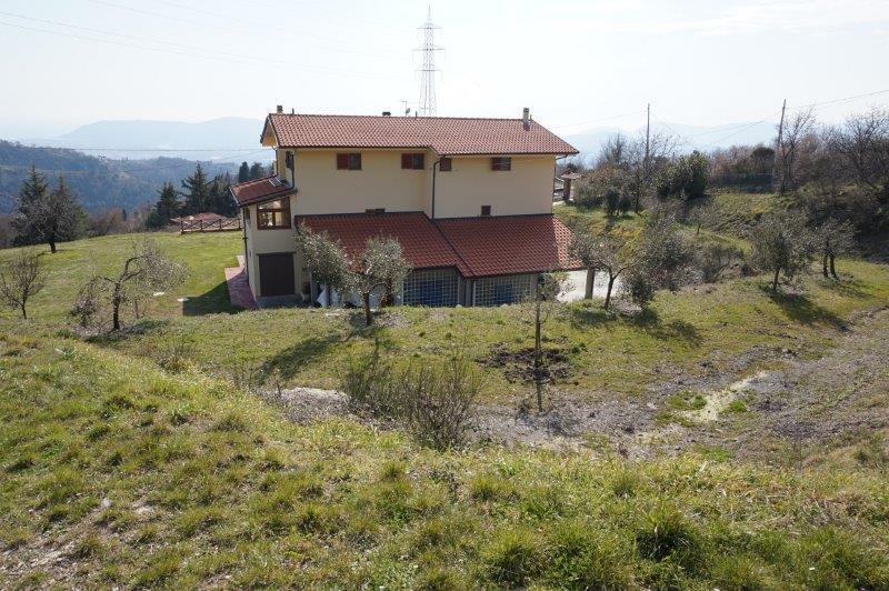 Vendita Multivani, Fosdinovo foto