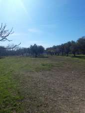 Vendita Monovano, Torrevecchia Teatina