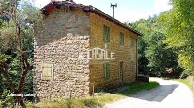 Vendita Quadrivani, Pelago Vendita Quadrivani, Pelago