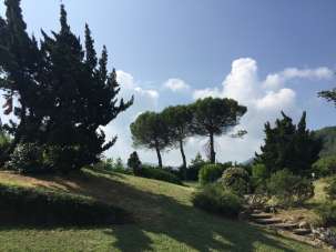 Vendita Eptavani, Vernasca Vendita Eptavani, Vernasca