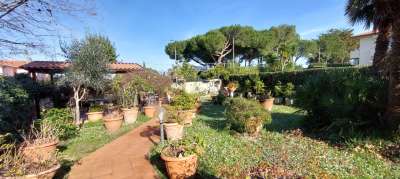 Vendita Multivani, Livorno Vendita Multivani, Livorno