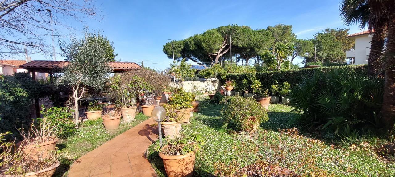 Vendita Multivani, Livorno foto