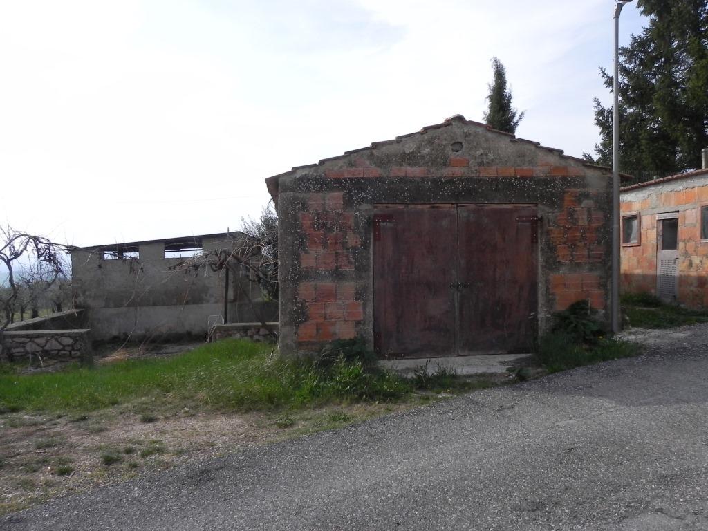 Vendita Quadrivani, Massa Martana foto