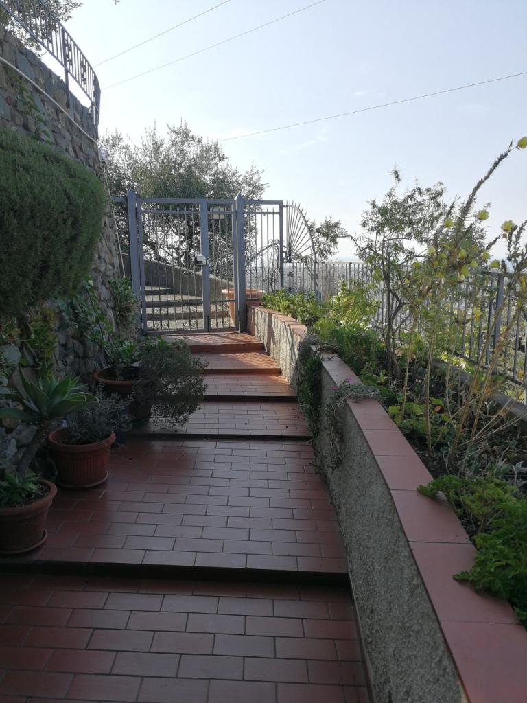 Vendita Multivani, Luni foto
