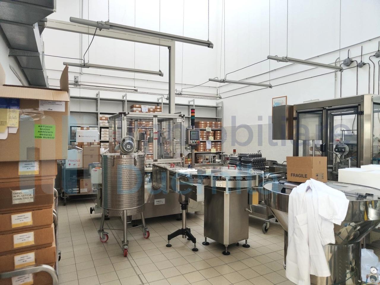 Vendita Multivani, Anzola dell'Emilia foto