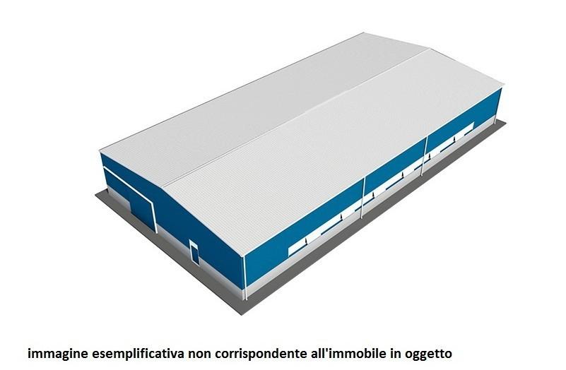 Vendita Industriale, Sarzana foto