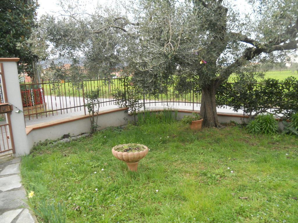 Vendita Multivani, Castelnuovo Magra foto