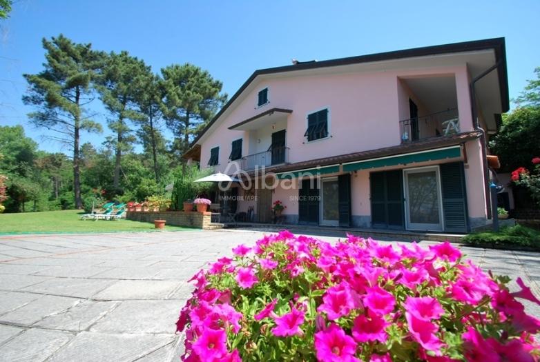 Vendita Multivani, Sarzana foto
