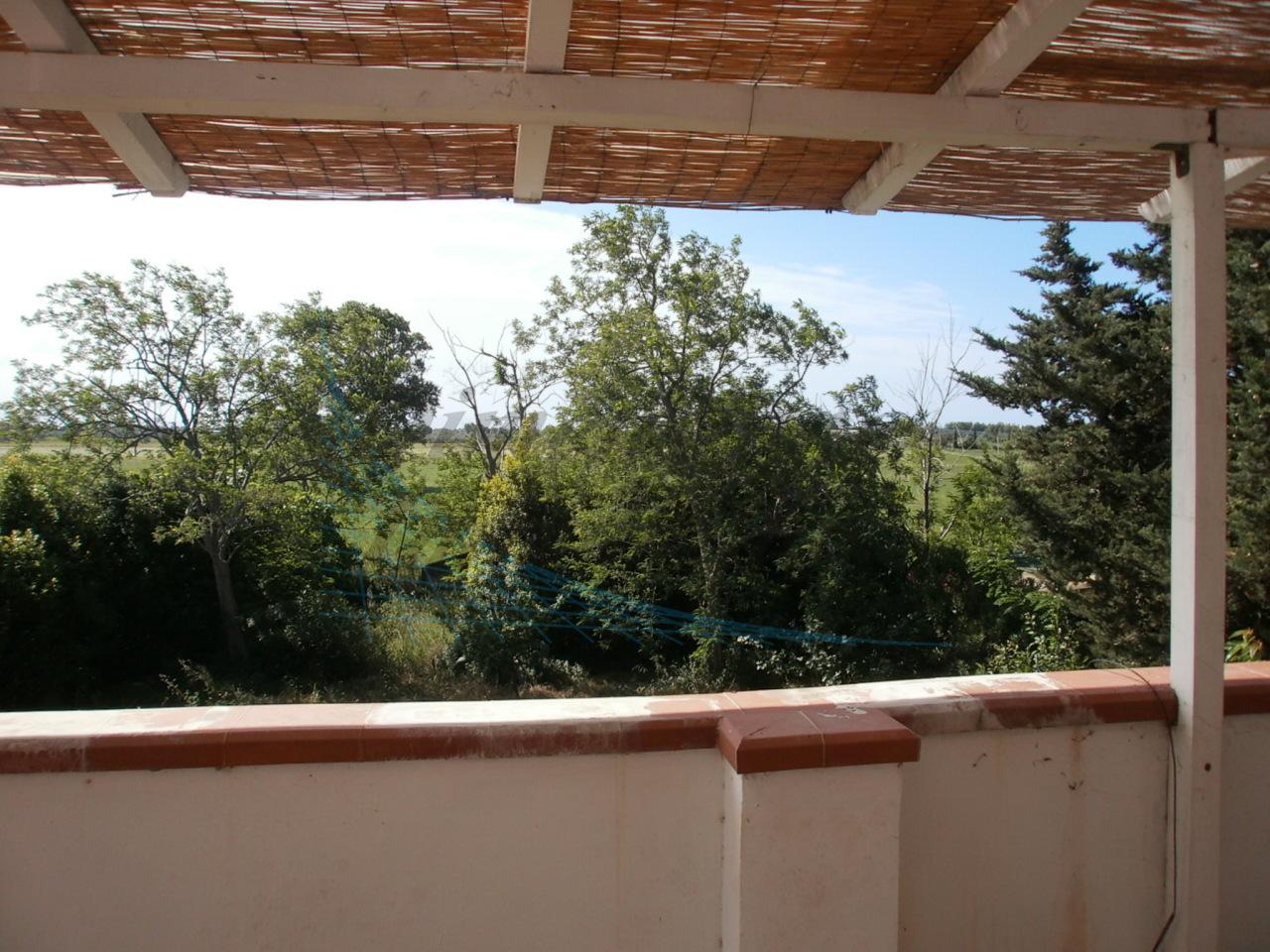 Vendita Multivani, Rosignano Marittimo foto