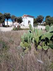 Vendita Terreni, Siracusa Vendita Terreni, Siracusa