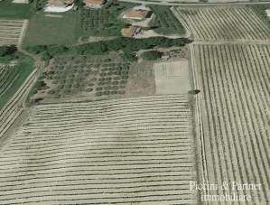 Vendita Terreni, Montepulciano Vendita Terreni, Montepulciano