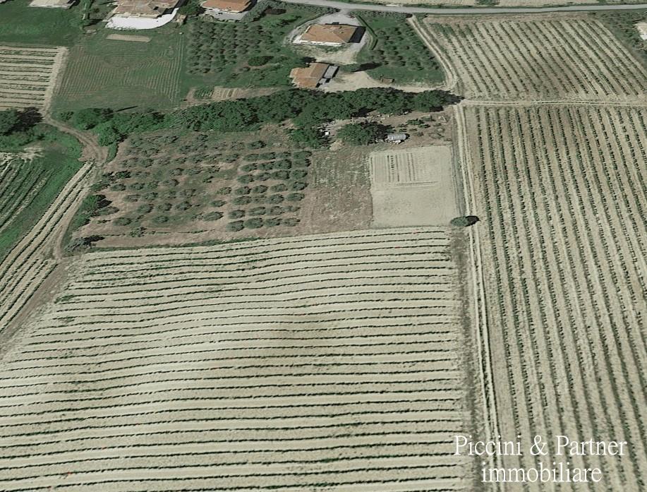 Vendita Terreni, Montepulciano foto