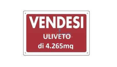 Vendita Monovano, Pietrasanta