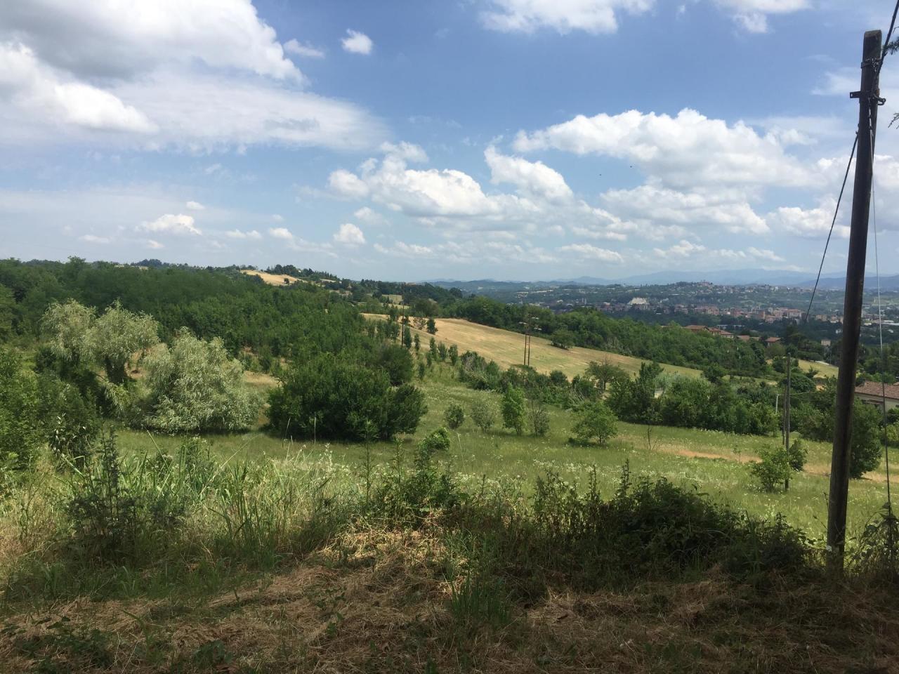 Vendita Multivani, Cremolino foto