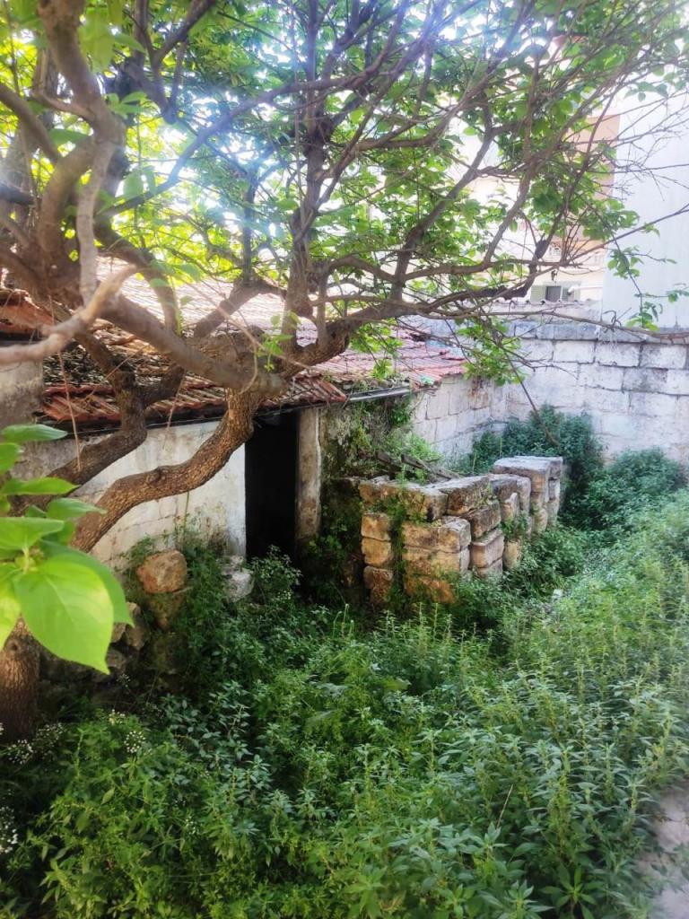 Vendita Bivani, Sammichele di Bari foto