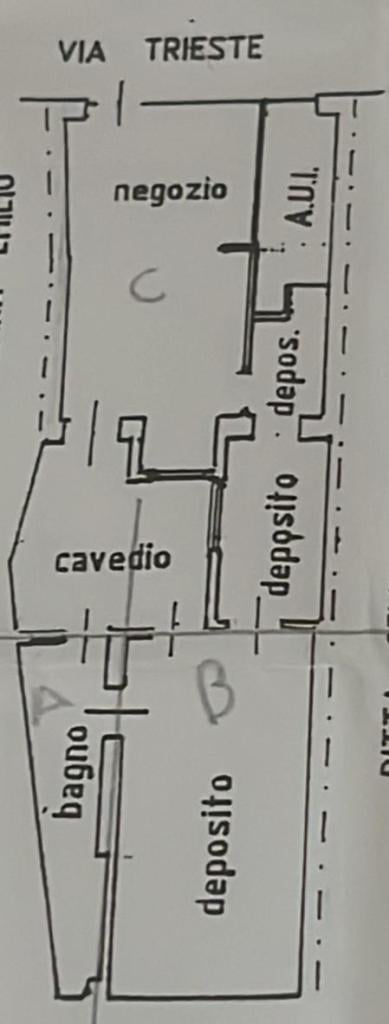 Affitto Trivani, Lonigo foto