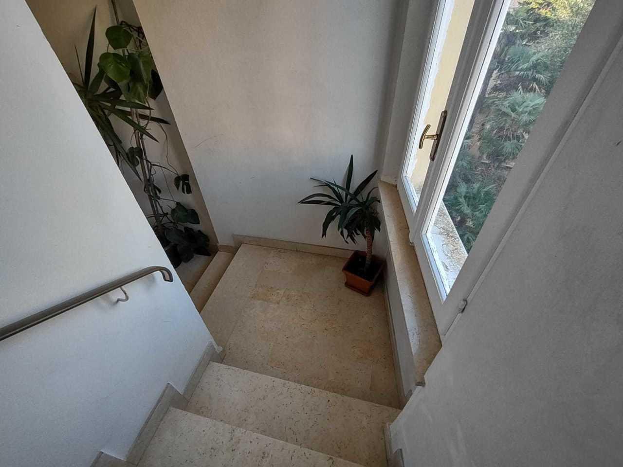 Vendita Esavani, Jesi foto