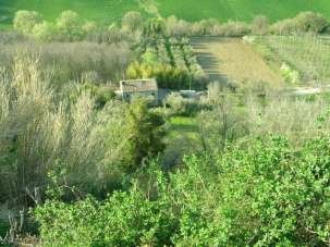 Vendita Multivani, Campofilone Vendita Multivani, Campofilone