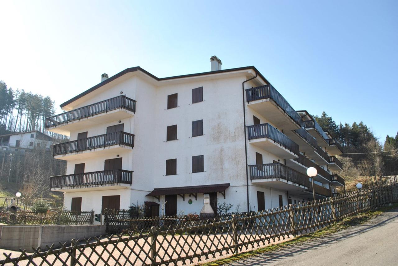 Vendita Bivani, Tornolo foto