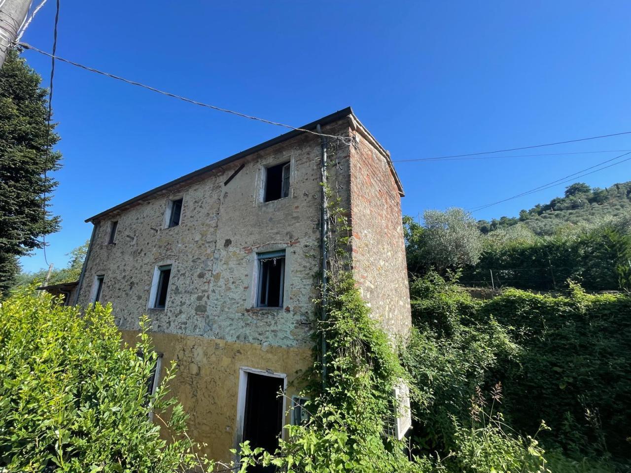 Vendita Multivani, Camaiore foto