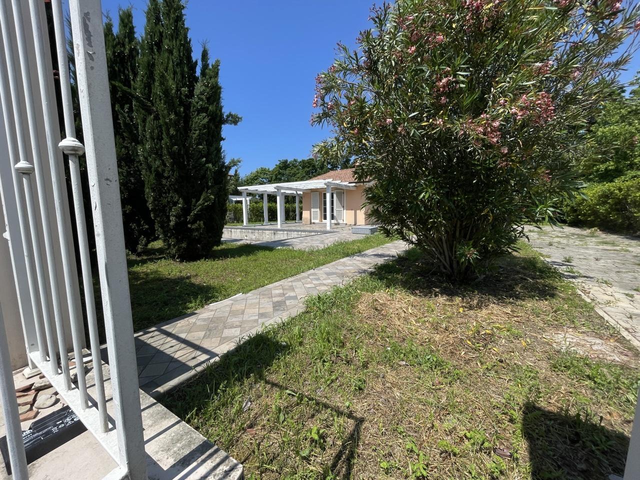 Vendita Eptavani, Pietrasanta foto