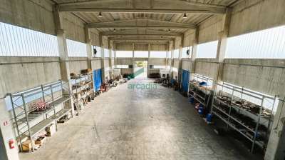 Vendita Industriale, Modugno