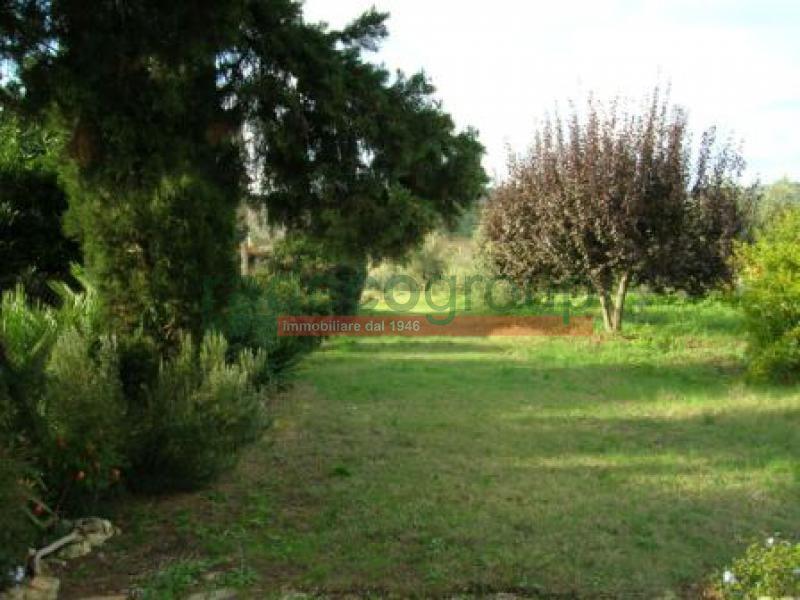 Vendita Monovano, Bibbona foto