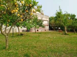 Vendita Multivani, Anzio Vendita Multivani, Anzio