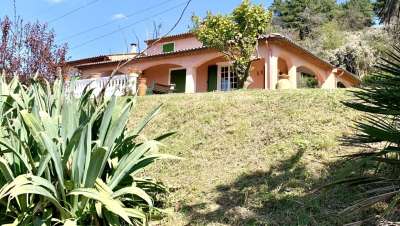 Vendita Multivani, Sarzana Vendita Multivani, Sarzana