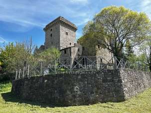 Vendita Multivani, Todi Vendita Multivani, Todi