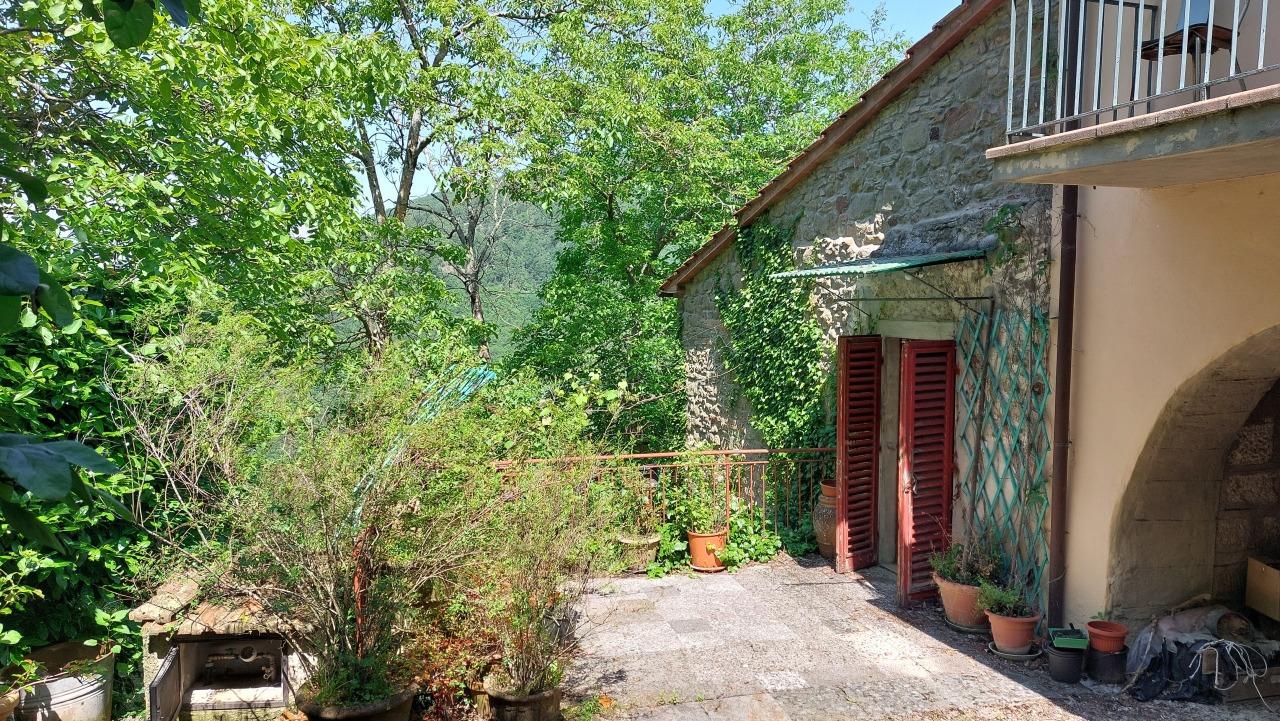 Vendita Quadrivani, Londa foto