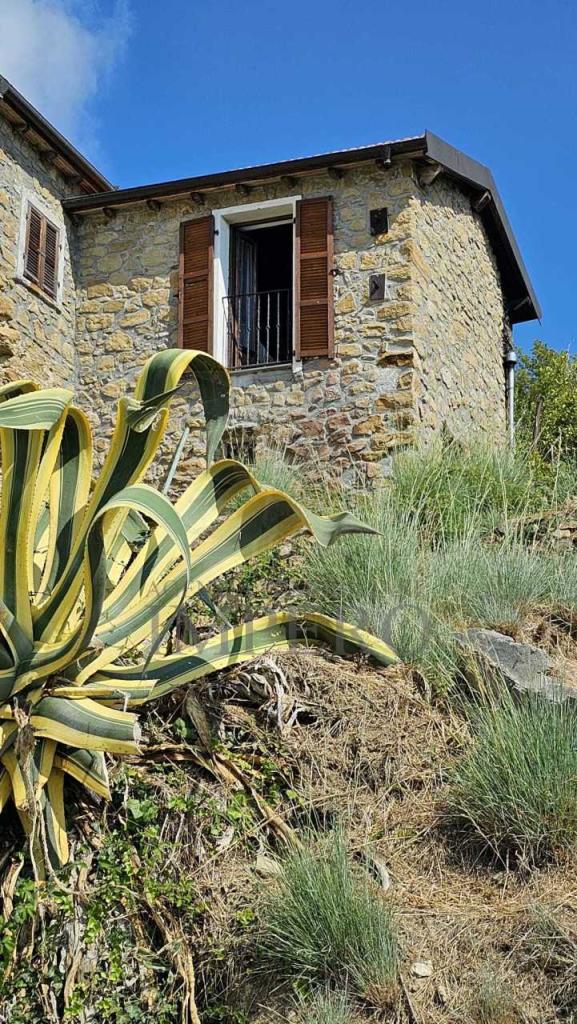 Vendita Trivani, Ventimiglia foto